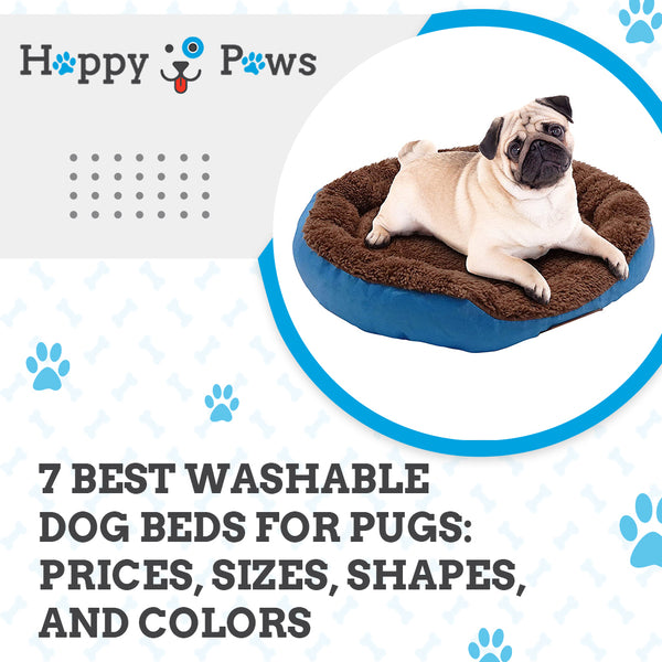 7 Best Washable Dog Beds for Pugs: Prices, Sizes, Shapes, and Colors