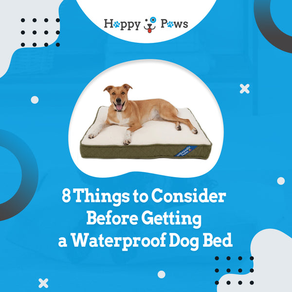 8 Things to Consider Before Getting a Waterproof Dog Bed