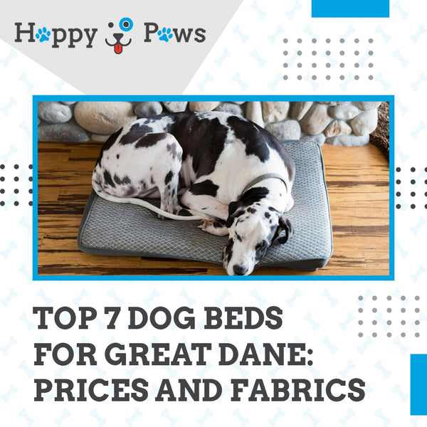 Top 7 Dog Beds For Great Dane: Prices and Fabrics