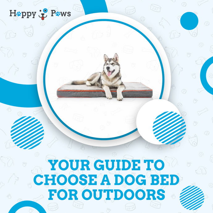 Your Guide To Choose A Dog Bed For Outdoors