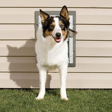 Load image into Gallery viewer, PetSafe® Alluminum Wall Entry Pet Door